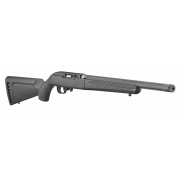 Ruger 10/22 - Takedown